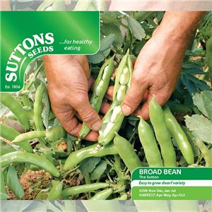 Bean (Broad) The Sutton